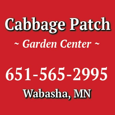 Cabbage Patch